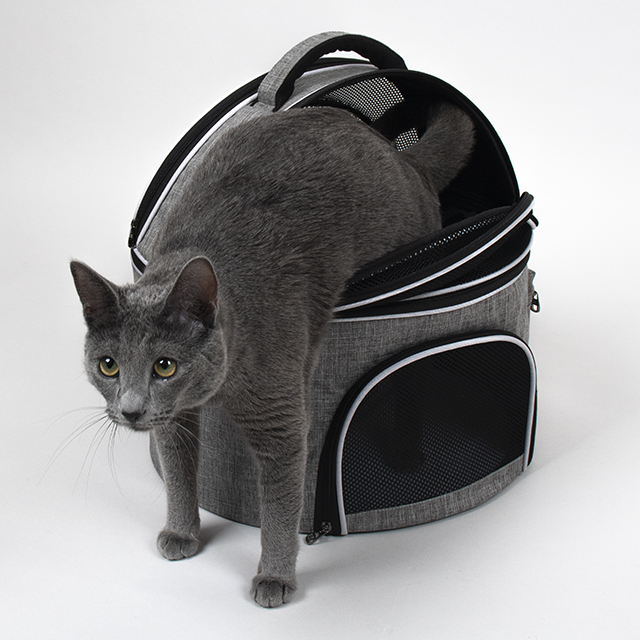 편리하고 안전한 고양이 이동가방, 집에서도 여행도 걱정 없어요!
