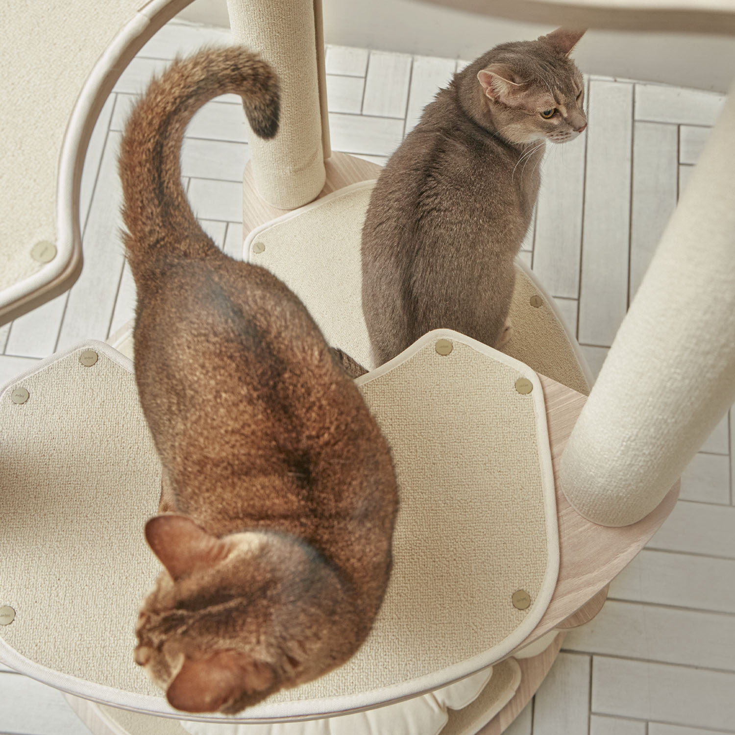 우리 집 고양이도 좋아하는 4단 캣타워, 스누즈T4로 놀아보세요!