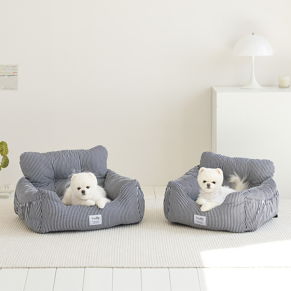 우리 강아지에게 딱 맞는 애견 카시트, 편안하고 안전하게!