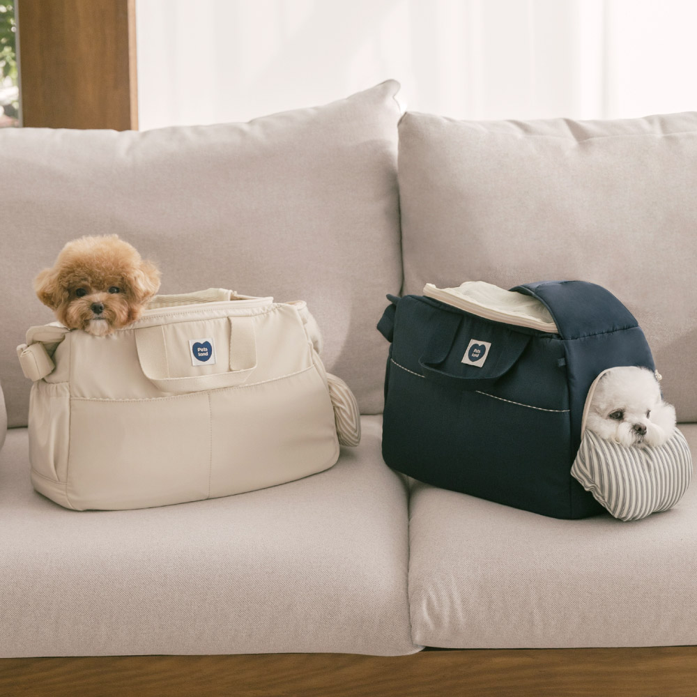 편하게 데리고 다닐 수 있는 강아지 이동 가방 추천