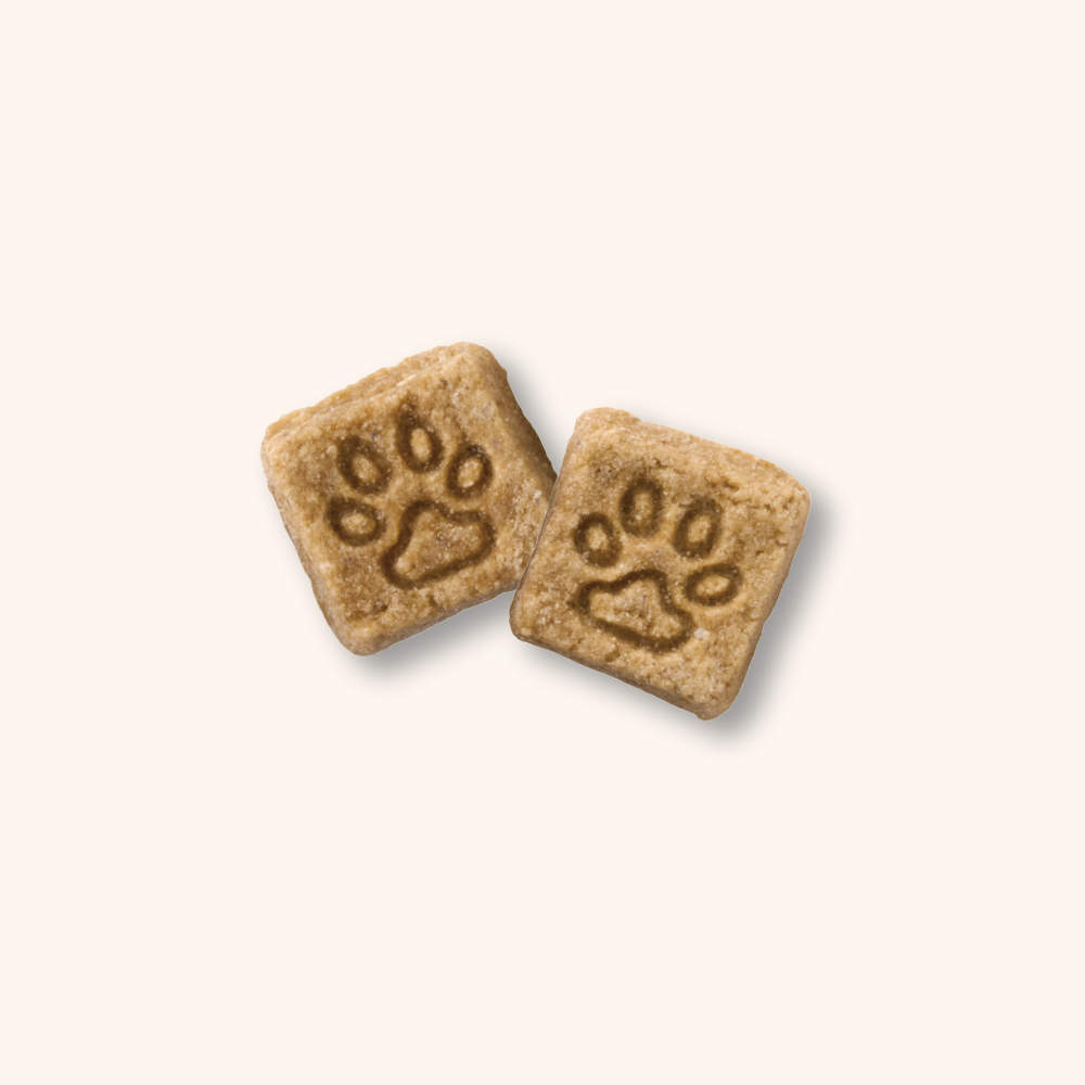 집에서 간편하게 먹일 수 있는 강아지 치킨 사료 추천