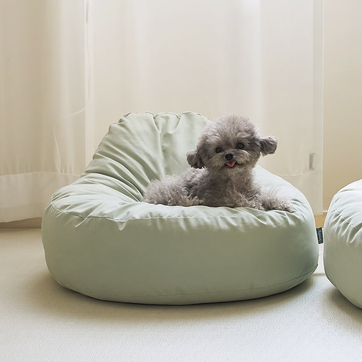 집에서 편하게 쓰는 강아지와 고양이용 빈백 소파 추천!