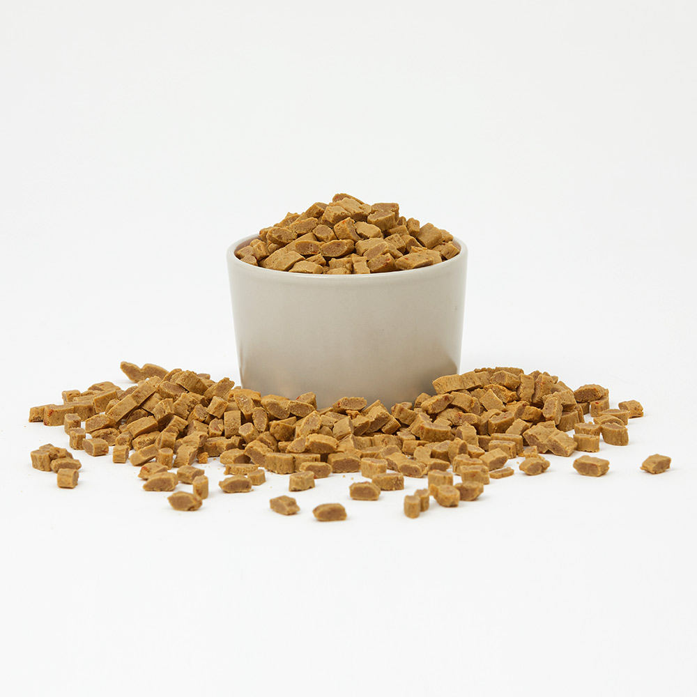 반려견을 위한 맛있고 건강한 한끼! 펫토리아 말랑말랑 강아지 사료 추천