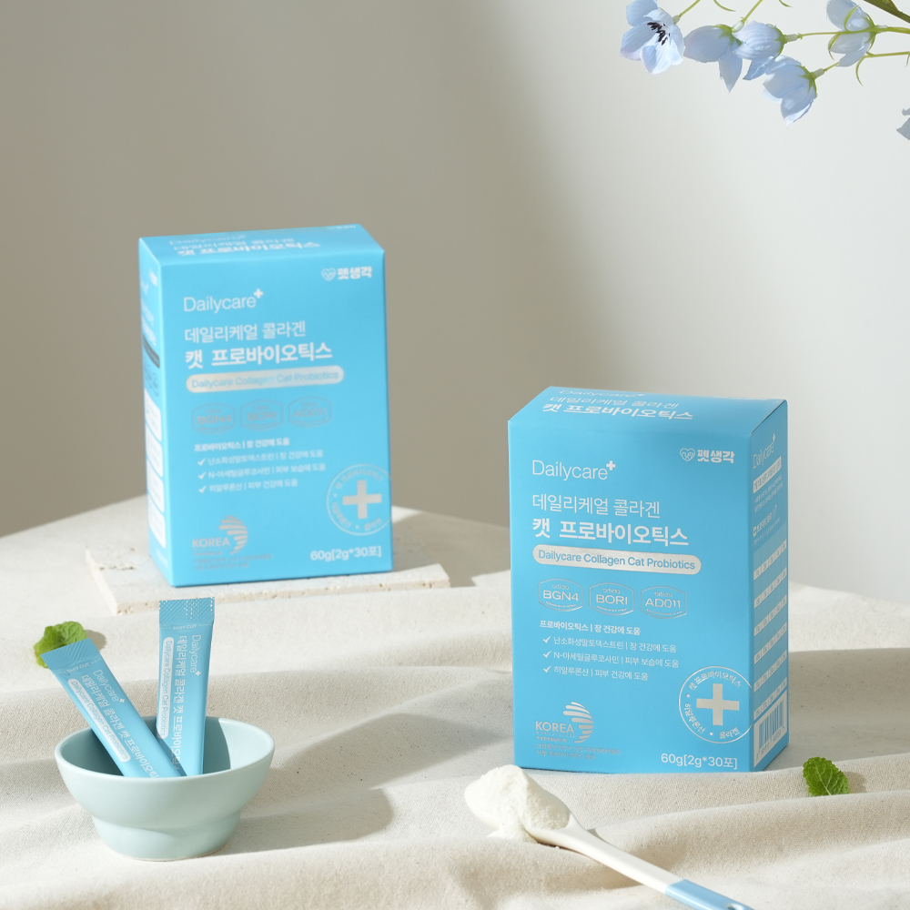 고양이 건강을 위한 자연스러운 선택, 유산균과 콜라겐으로 피부와 장 건강 챙기기