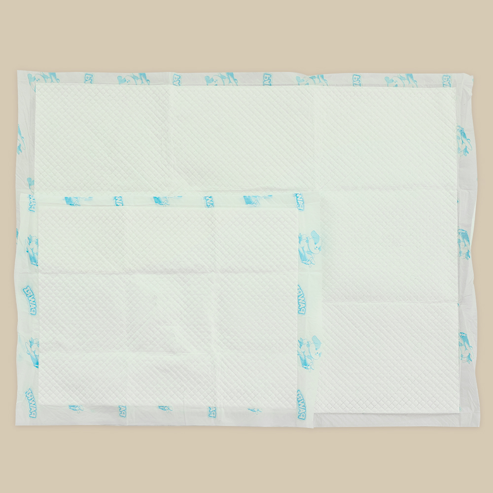 편리하고 흡수력 좋은 배변패드, 이렇게 선택하세요!