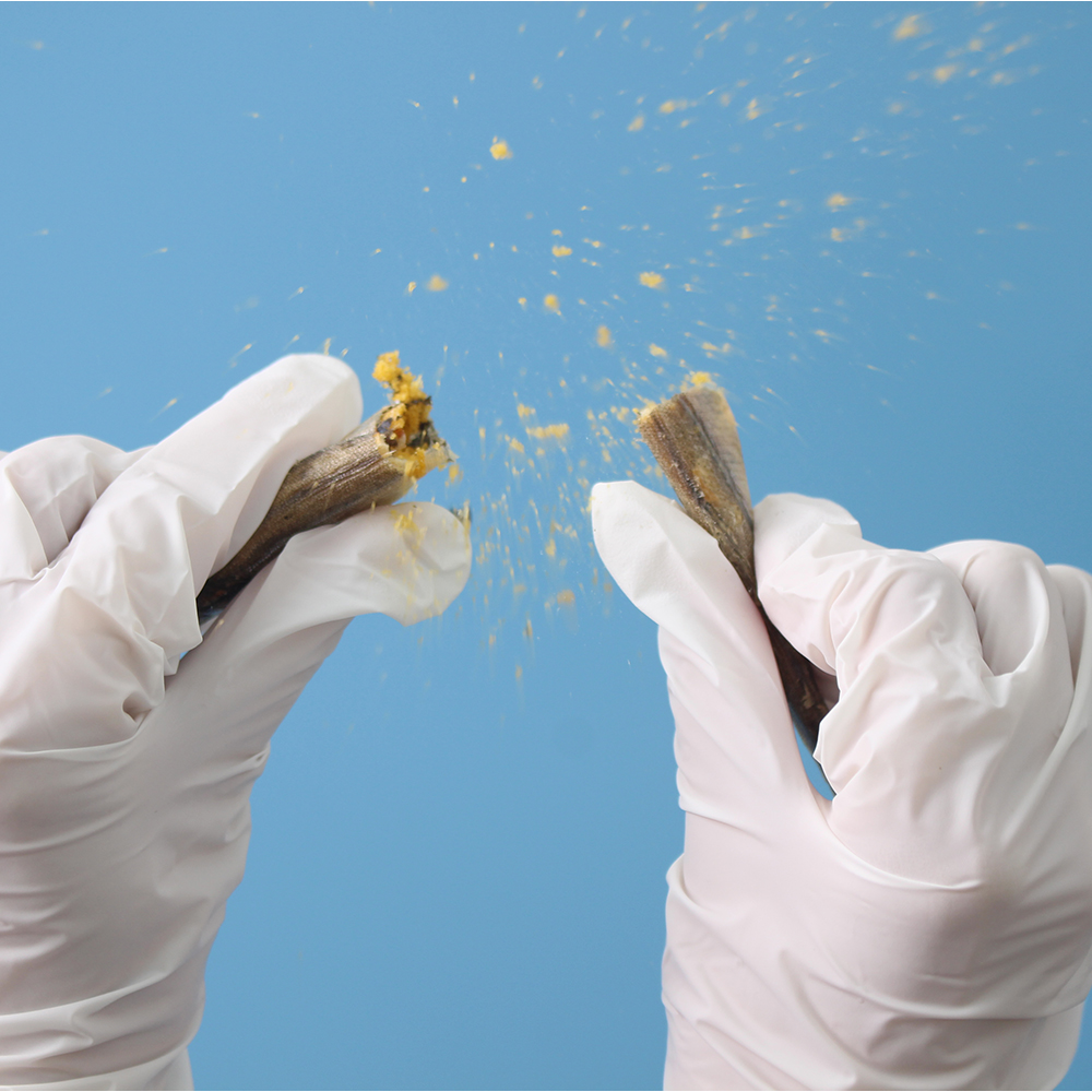 강아지 간식, 집에서도 간편하게 동결건조 트릿으로 훈련하세요!