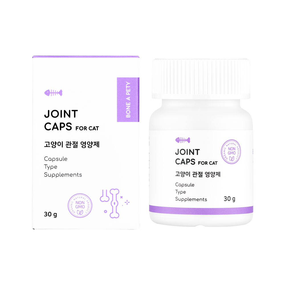 고양이 관절 건강을 위한 영양제, 이렇게 선택하세요!