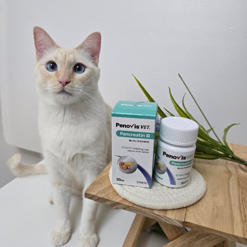 반려동물 건강을 위한 췌장 보조제, 이렇게 선택하세요!