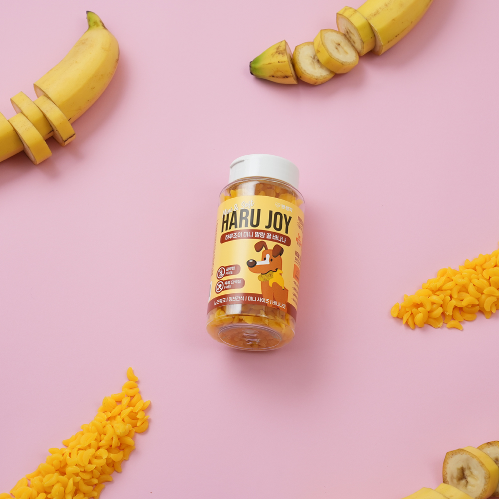 우리 강아지 건강을 위한 저칼로리 간식 추천! 노즈워크와 다이어트에 딱 좋아요