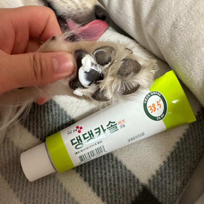 강아지 피부에 딱 맞는 연고, 집에서도 쉽게 사용할 수 있어요!
