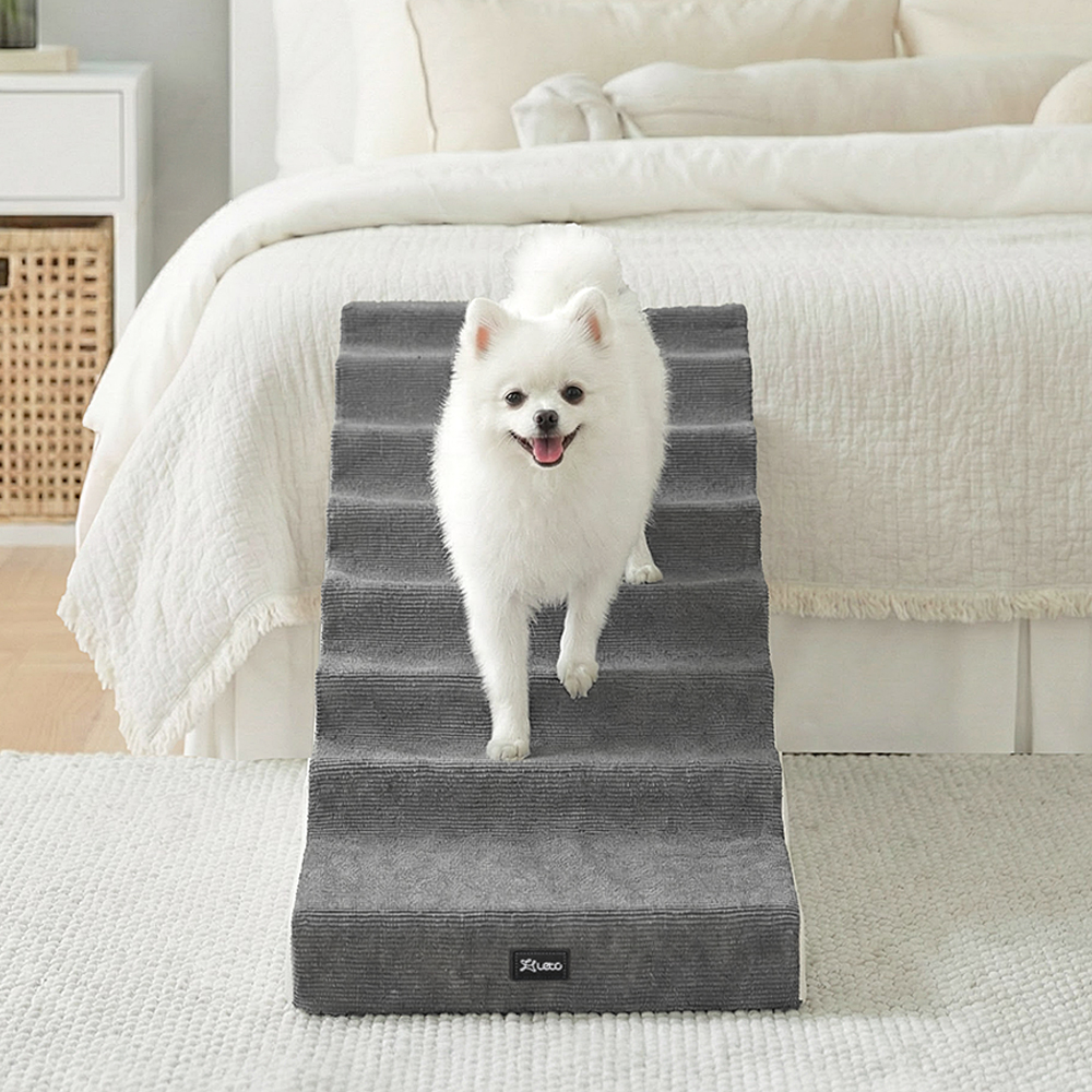 강아지 계단, 안전하게 오를 수 있게 도와주는 편한 스텝 추천