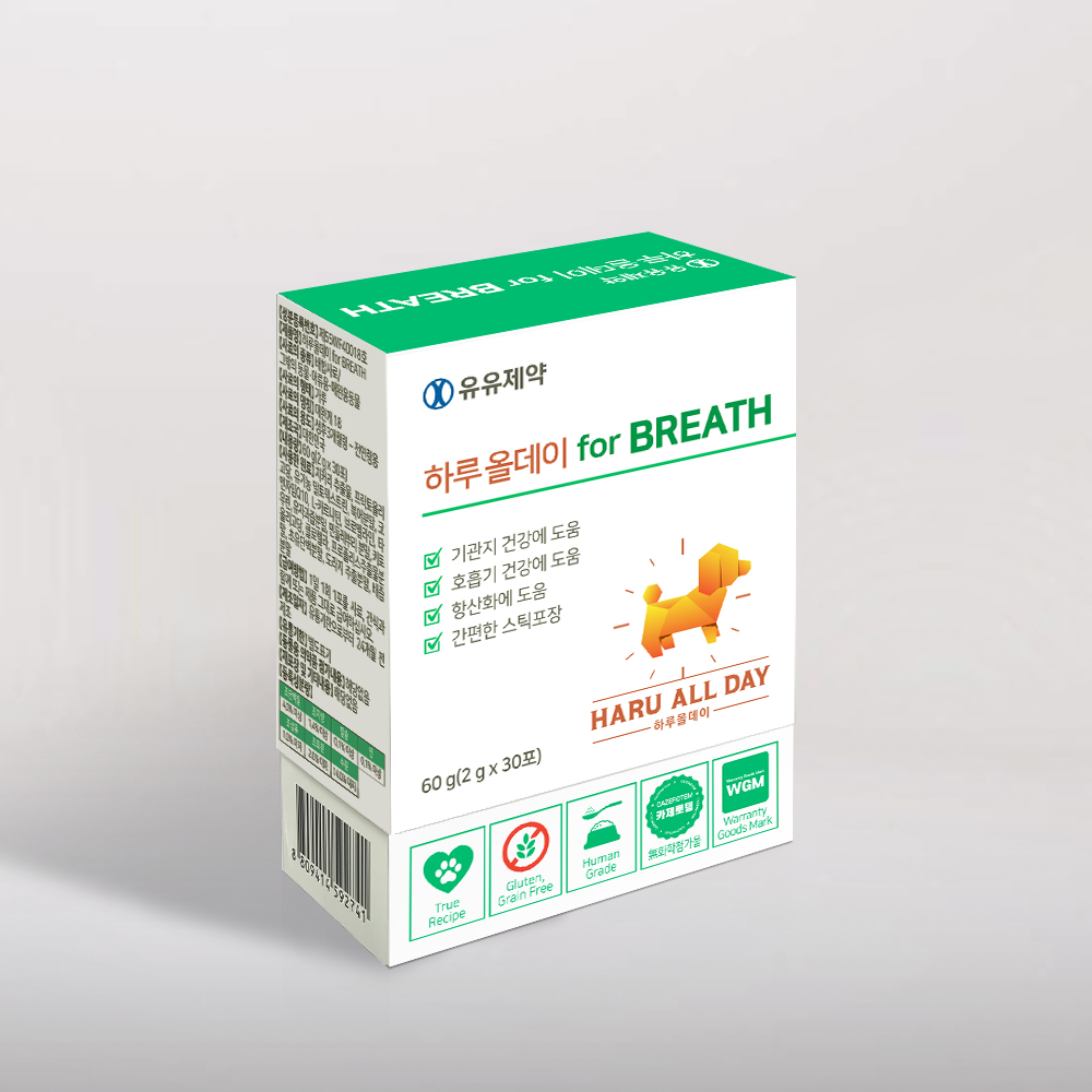 반려견 건강을 위한 기관지 영양제, 이렇게 선택하세요!