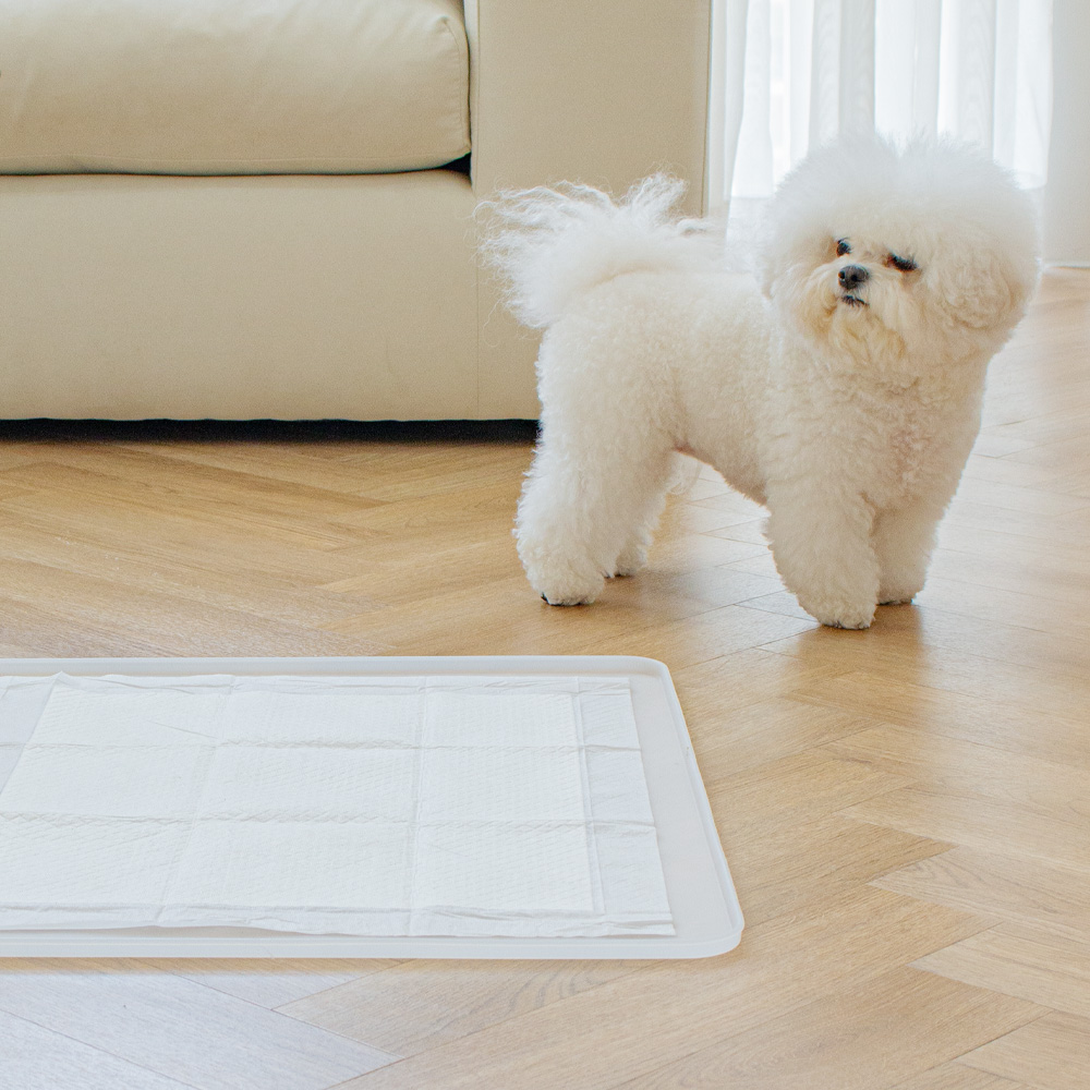우리 강아지 배변이 더 깔끔하게! 실리콘 배변판 추천