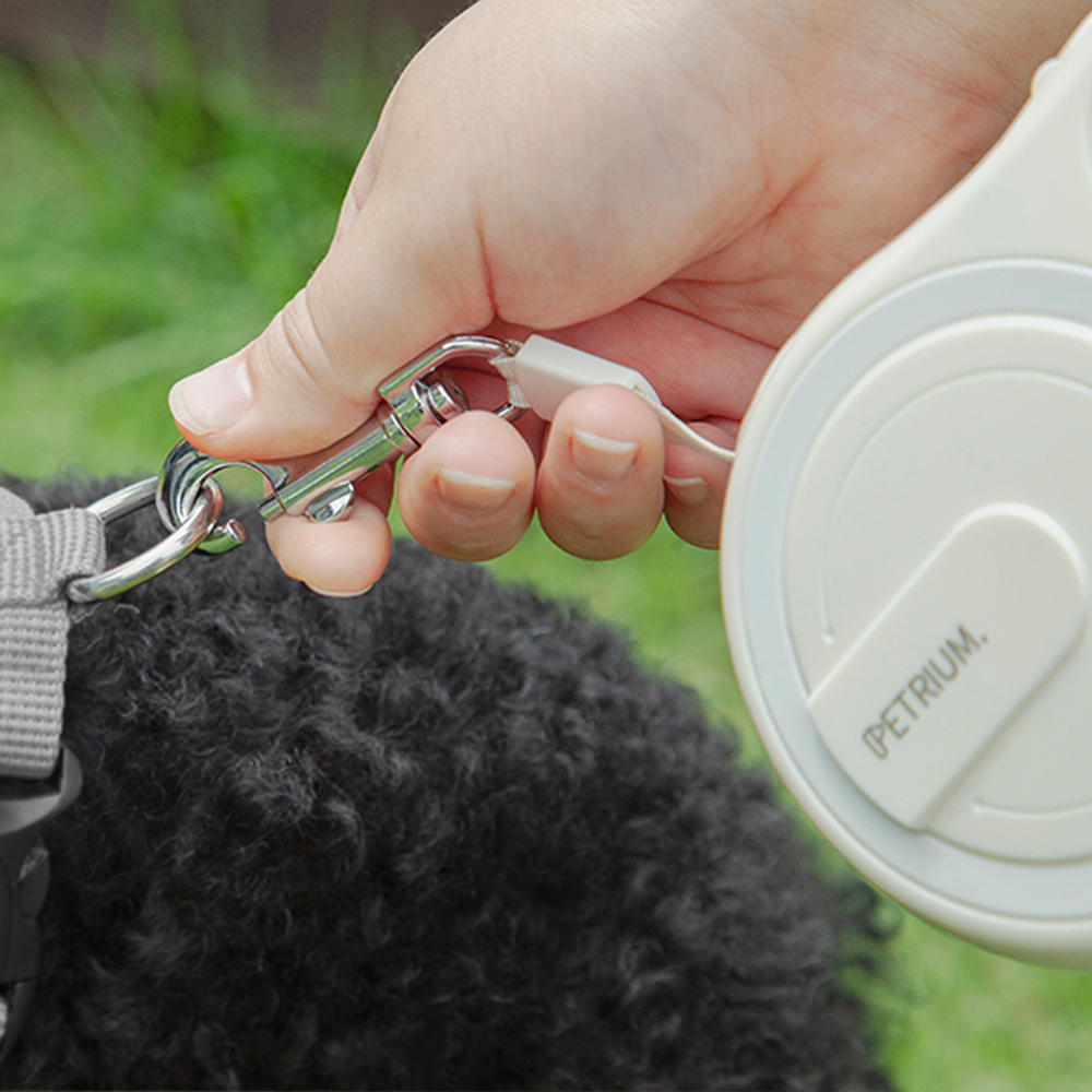 편리하고 안전한 강아지 산책을 위한 자동 리드줄 추천