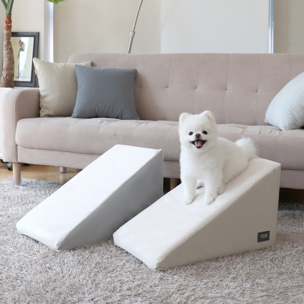 강아지 계단과 슬라이드, 안전하게 사용할 수 있는 방법 알려드릴게요!