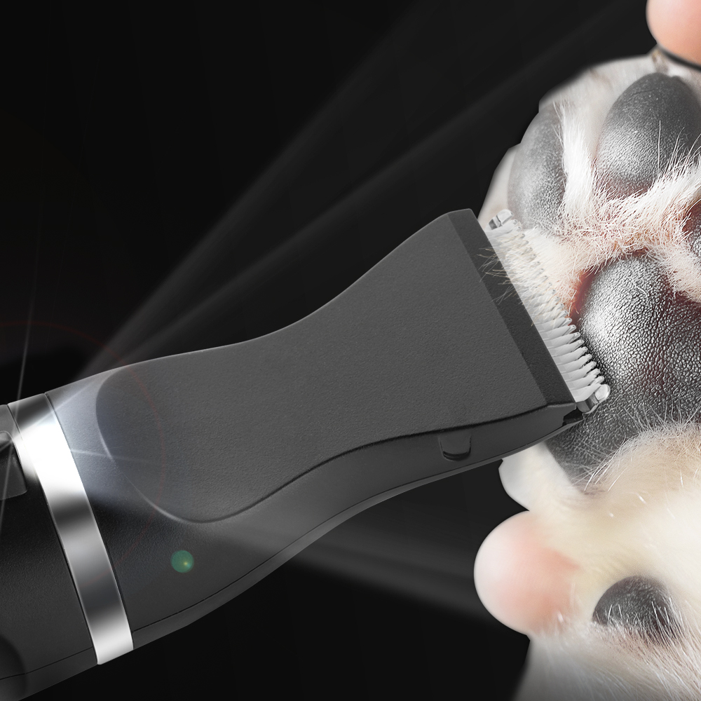 반려동물 발 관리, 이렇게 쉽게 할 수 있어요! 집에서도 간편하게