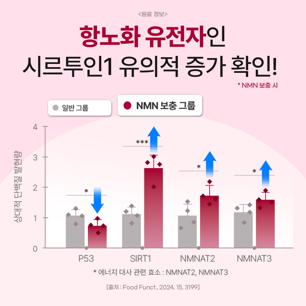 강아지 건강을 위한 자연스럽고 효과적인 노화 방지 영양제 추천