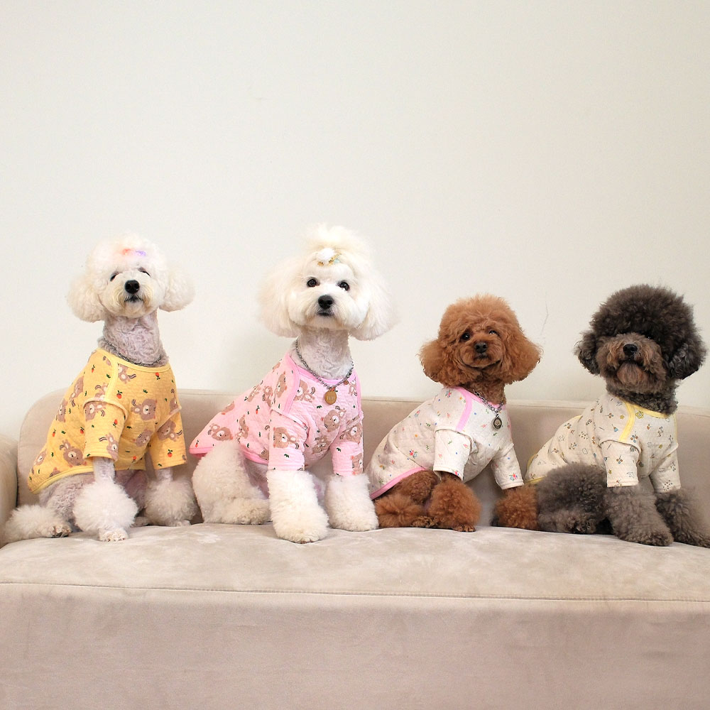 집에서 강아지 옷 입히기, 편안하고 귀여운 잠옷 추천!