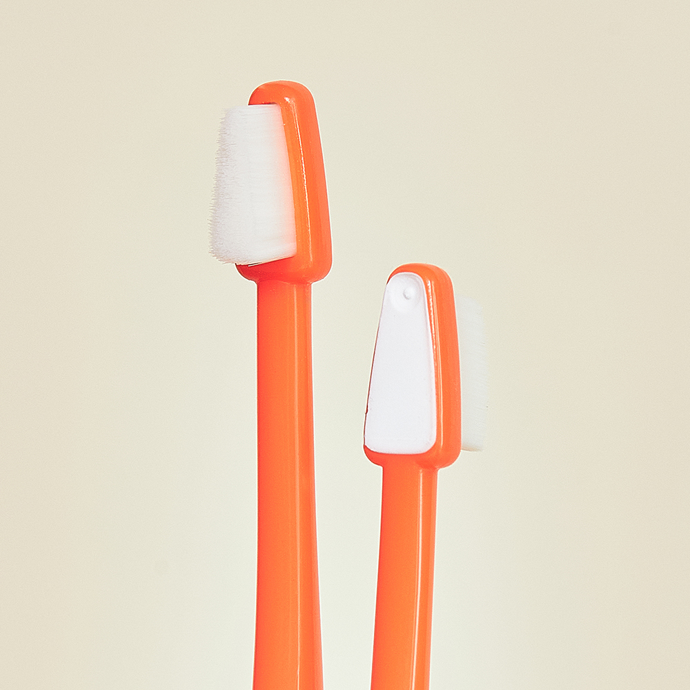 강아지 양치, 이렇게 하면 더 쉽고 깨끗하게! 초극세사 딥 브러쉬 추천