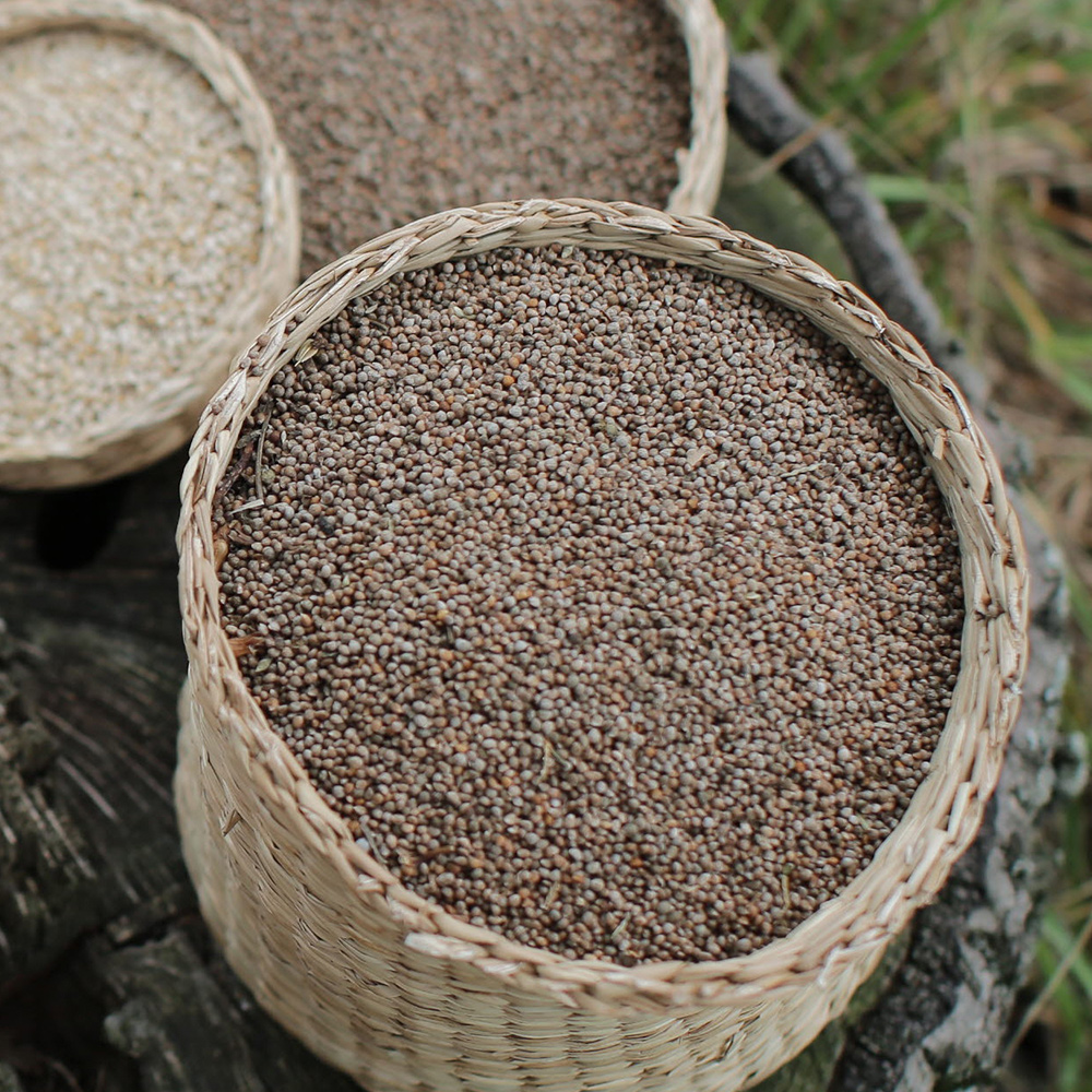 집에서 즐기는 건강한 들깨가루, 자연의 맛을 느껴보세요!