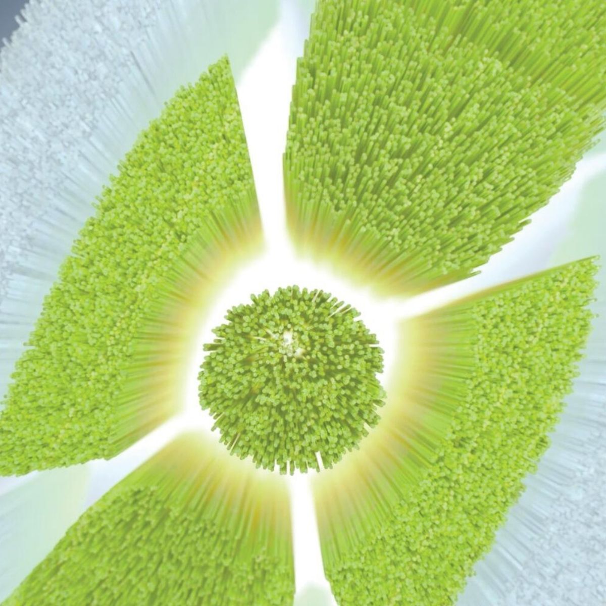 일상에서 쉽게 사용하는 필립스 소닉케어 화이트닝 칫솔모 추천