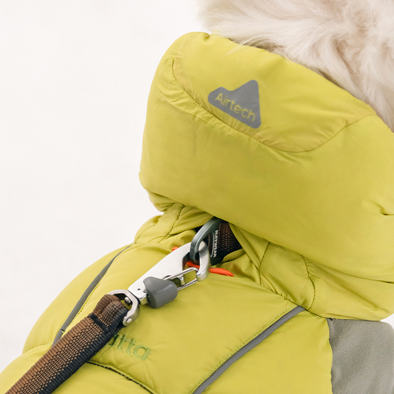 포근한 겨울 강아지 옷, 따뜻하게 입혀보세요!