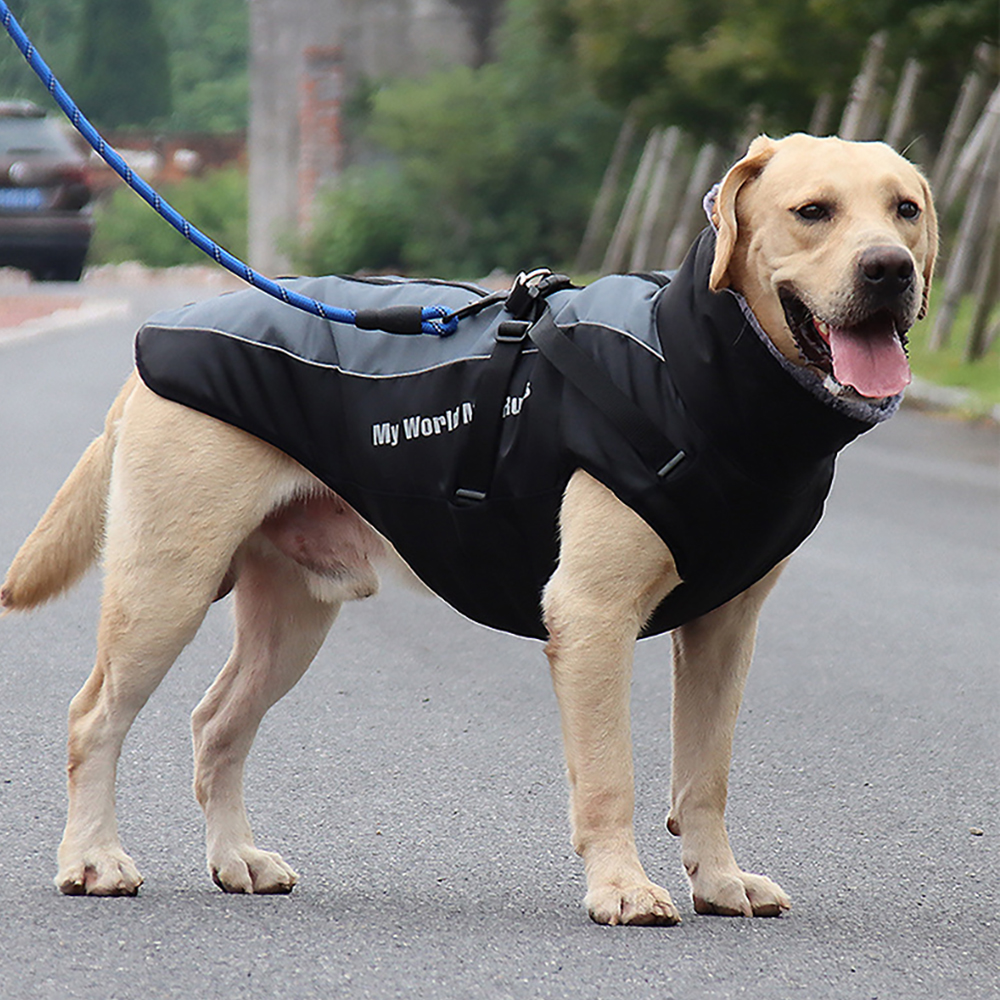 포근한 겨울을 위한 강아지용 패딩 조끼, 대형견도 따뜻하게!