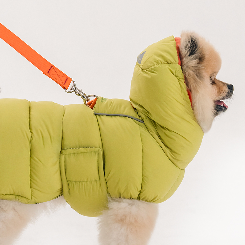 강아지 겨울철 따뜻하게! 라임 컬러 패딩 조끼 추천