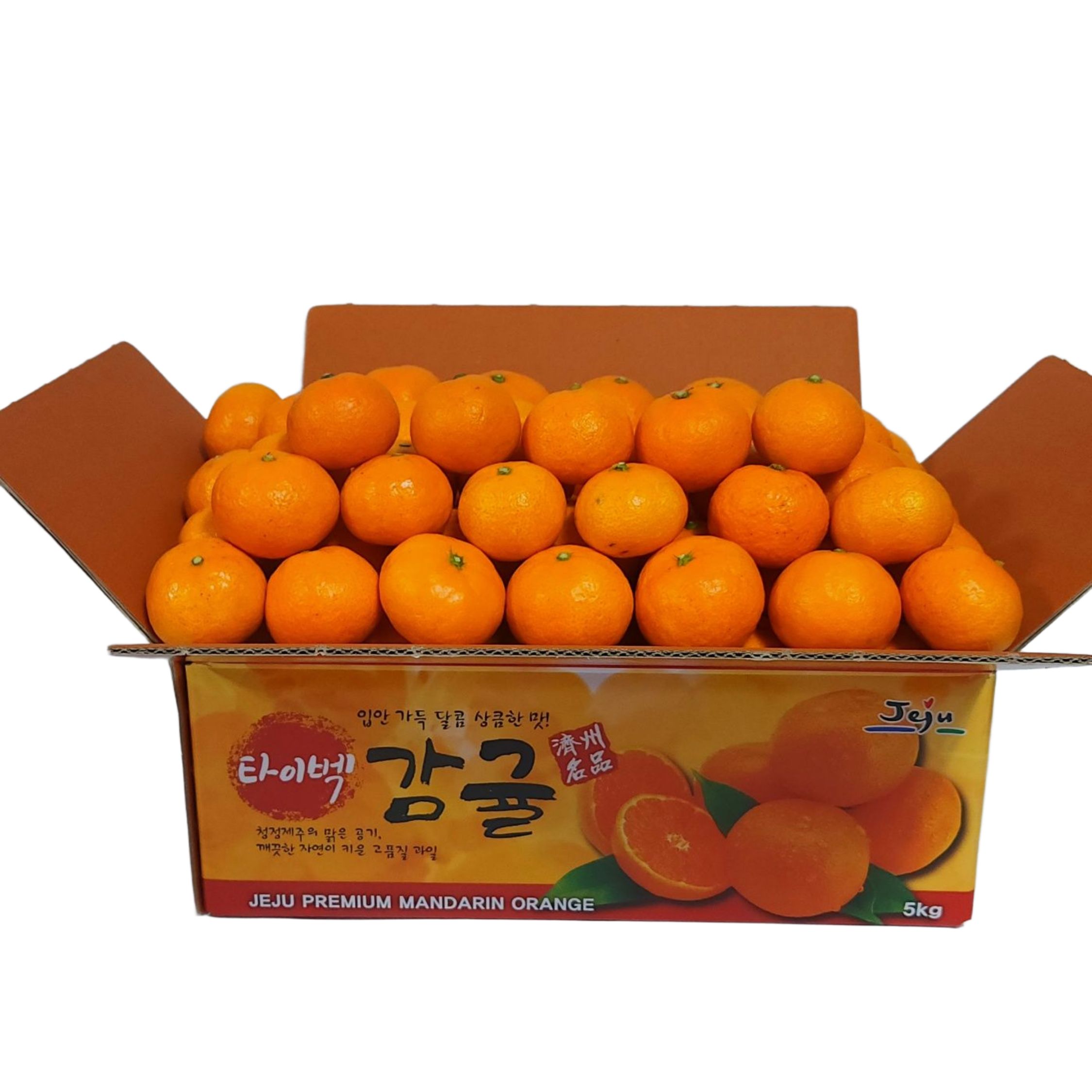 제주에서 만나는 신선한 타이벡 포장 감귤, 지금 바로 확인하세요!