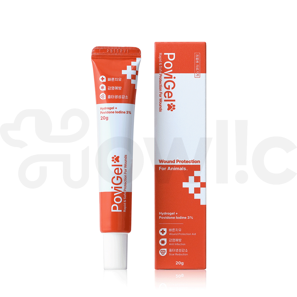 반려동물 피부 건강을 위한 포비겔 연고, 쉽게 이해하고 선택하세요!