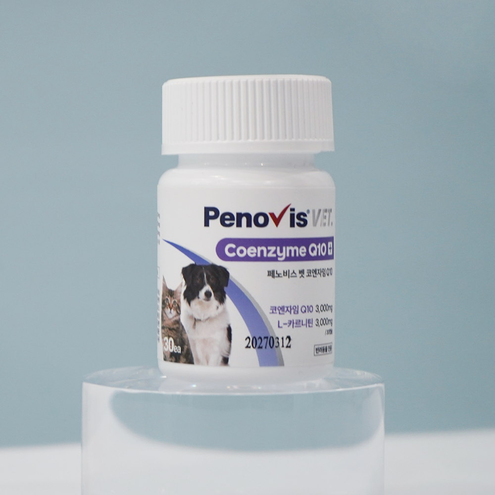 반려견과 고양이 건강을 위한 영양제, 이렇게 선택하세요!