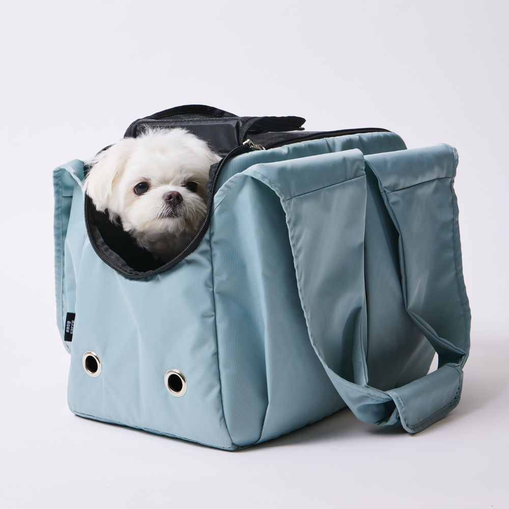 강아지와 고양이 이동이 편한 캐리어, 집에서도 여행갈 때도 딱 좋아요!