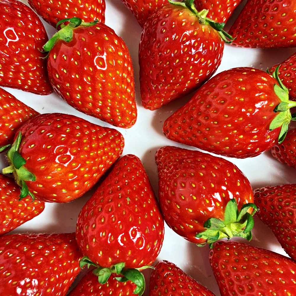 달콤하고 신선한 딸기, 집에서 즐기기 좋은 추천 상품이에요!