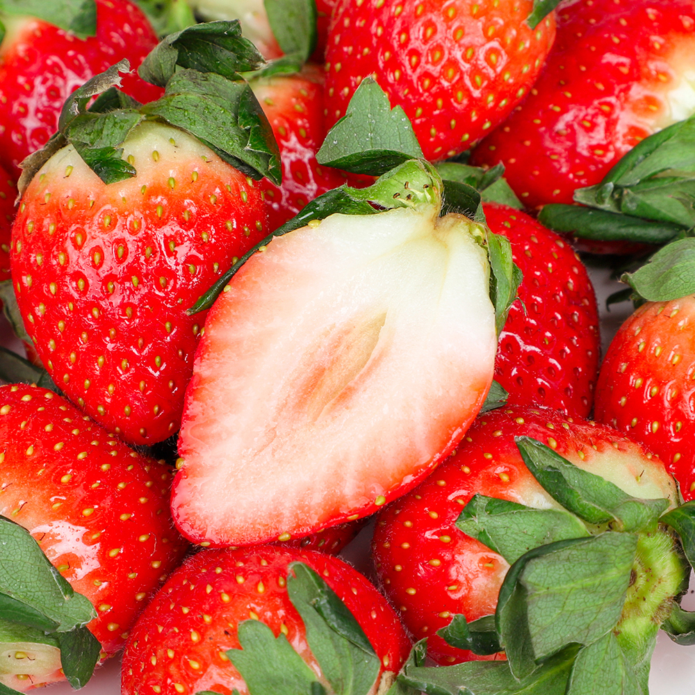 겨울철 달콤한 논산 설향딸기, 신선하게 맛보세요!