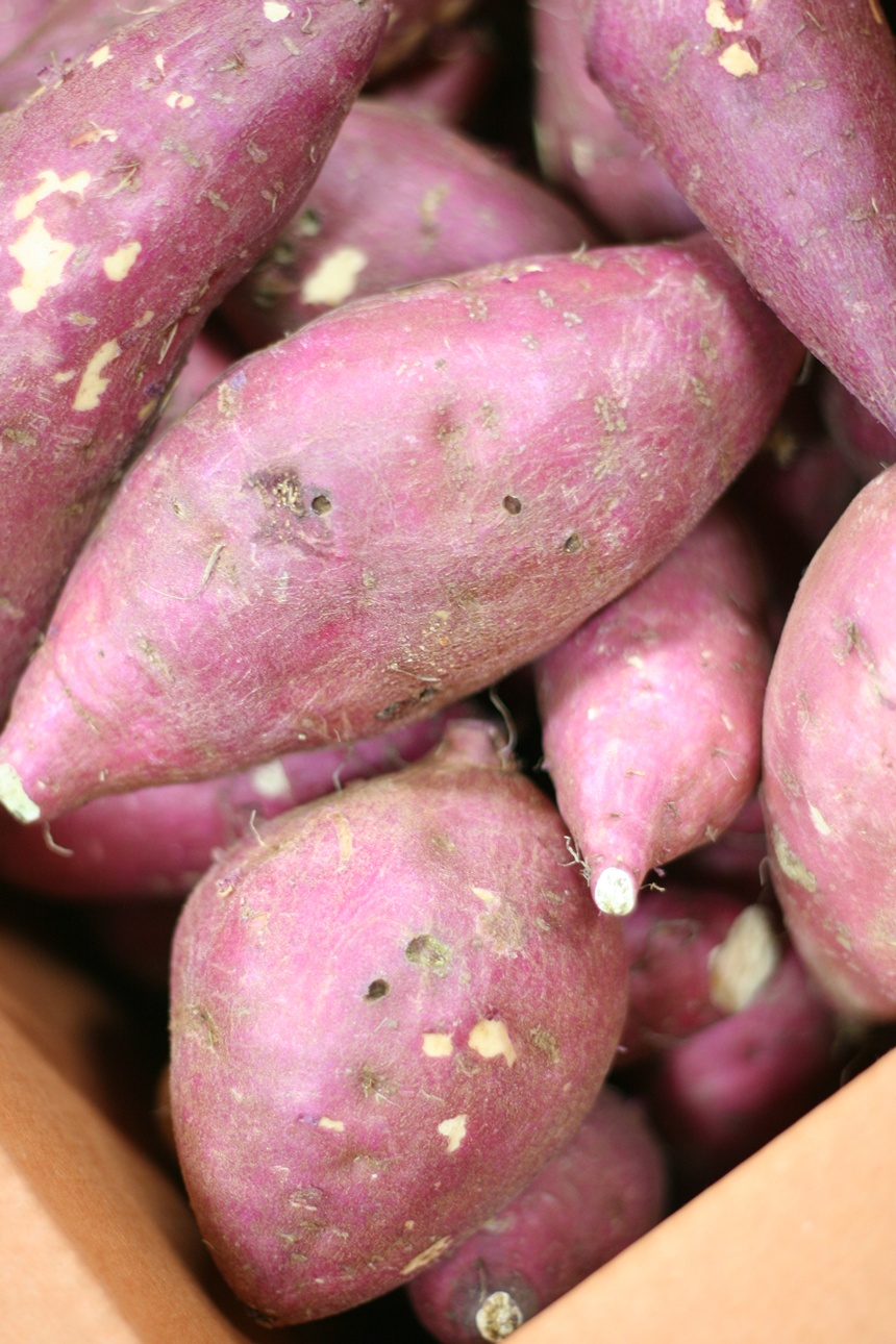 저렴하게 즐기는 고구마 10kg, 알뜰하게 구매하는 방법