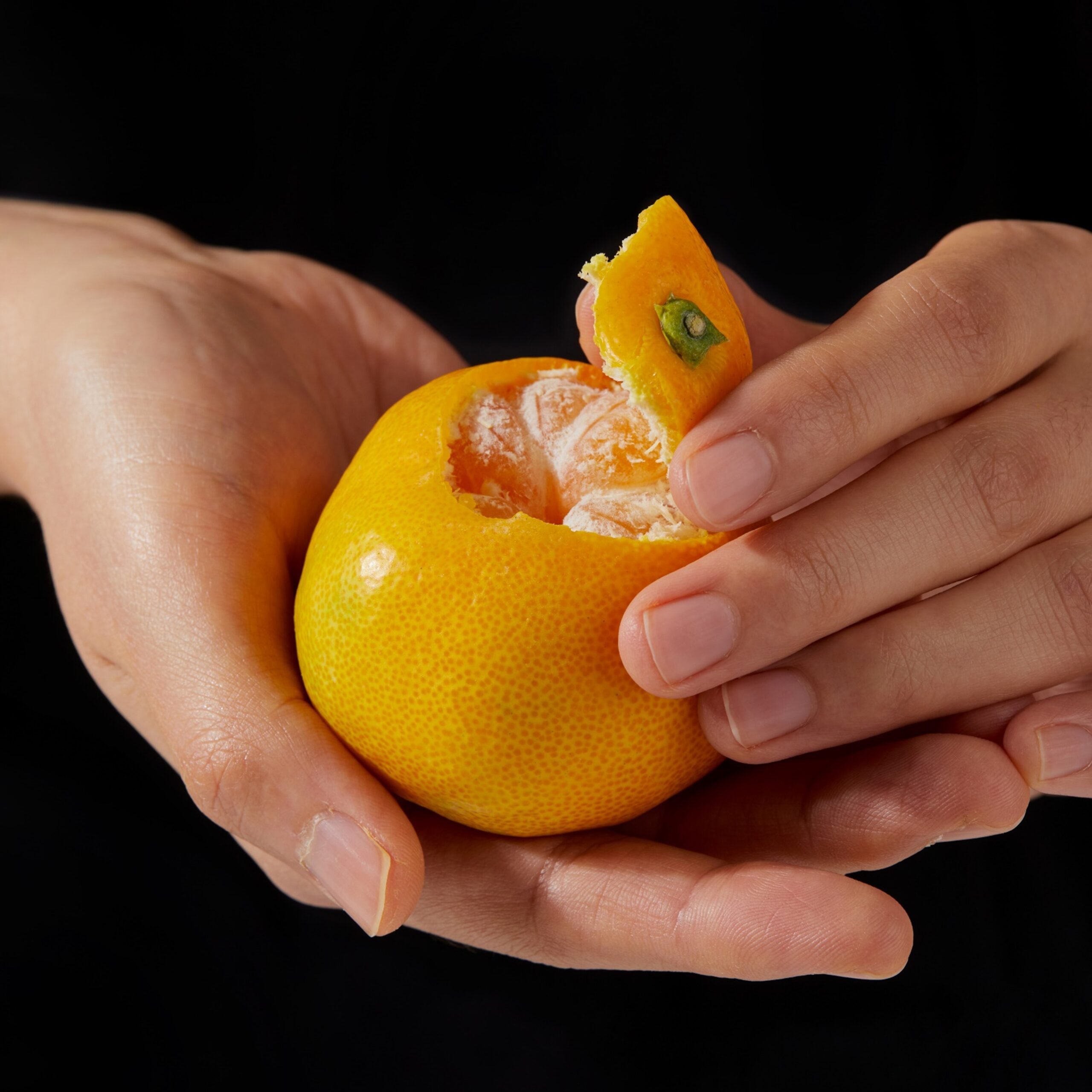 달콤한 감귤을 집에서 쉽게 즐기기! 제주 비가림 감귤 추천