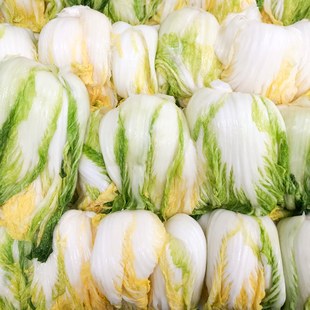 신선하고 속 꽉 찬 천일염 배추로 김장 준비하세요!