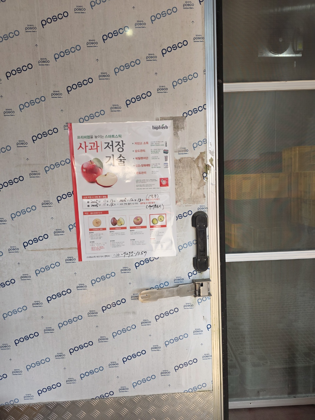 문경에서 만난 못난이 사과, 가정용과 선물용으로 딱 좋아요!