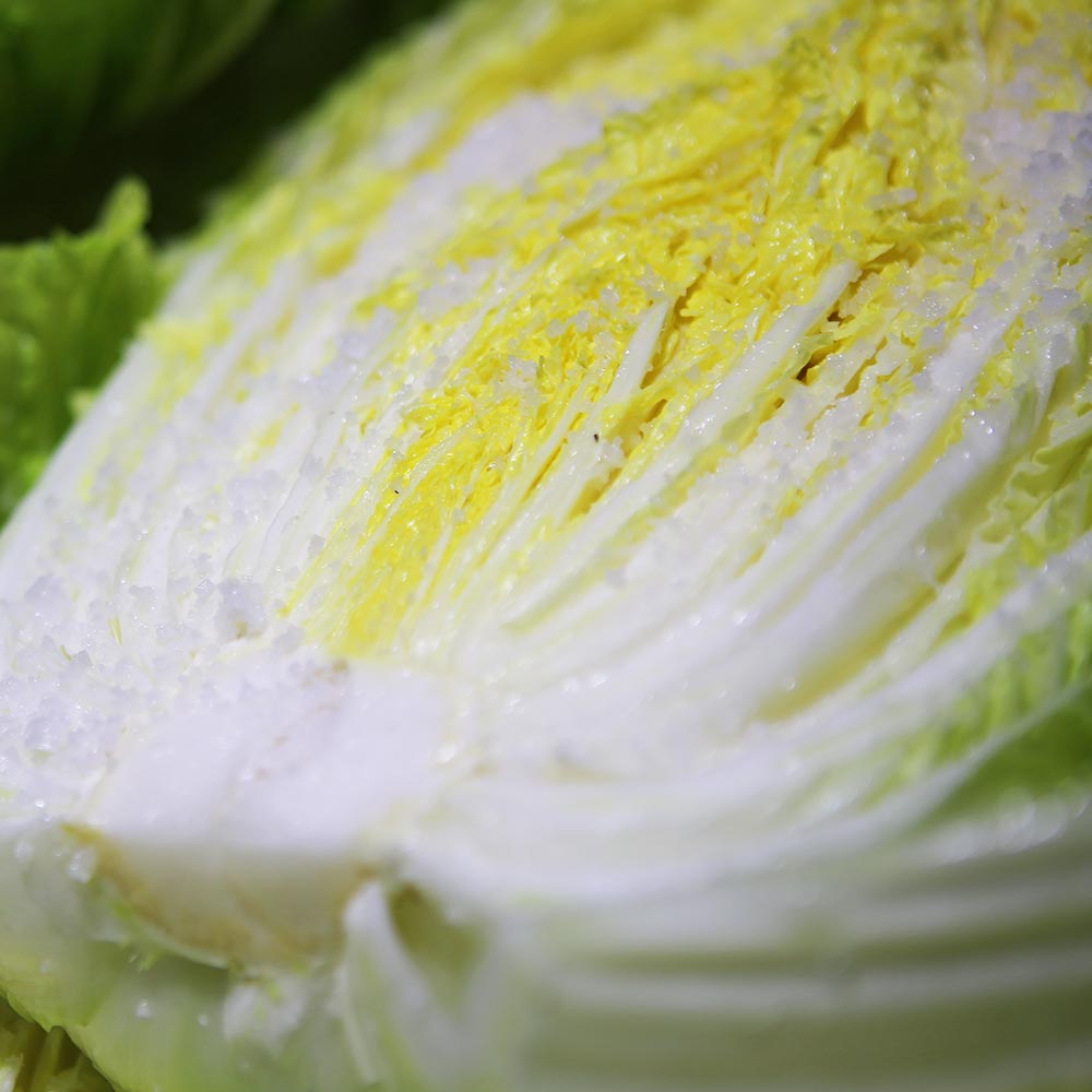 친근하게 즐기는 전라도 해남의 절임배추, 김장철 필수템!