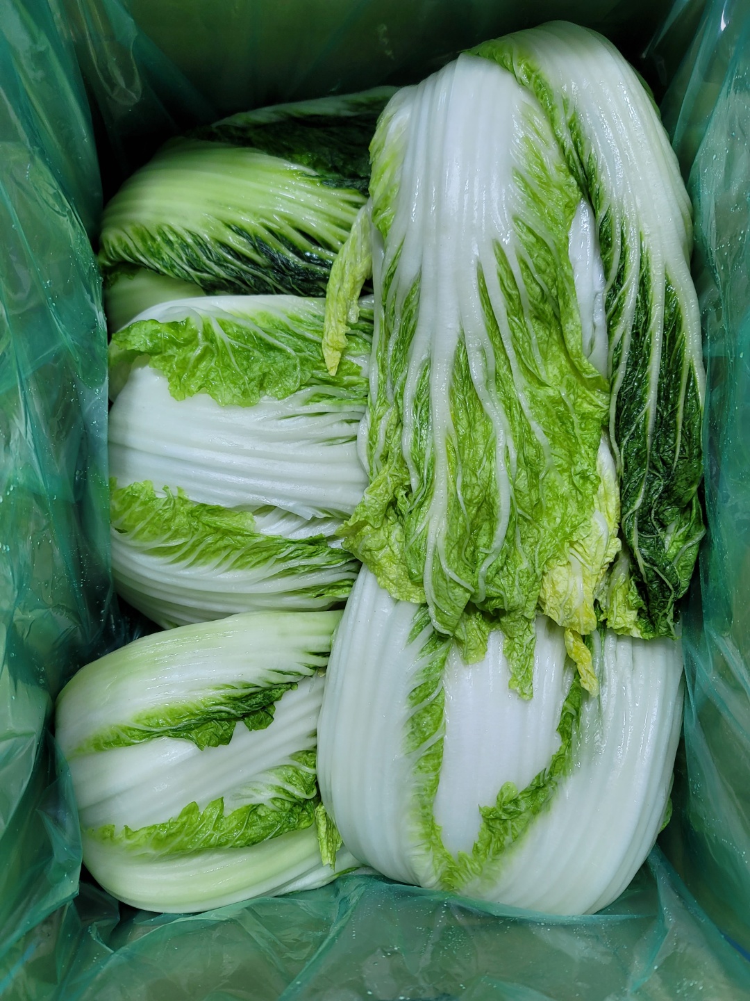 김장철 필수! 해남에서 만든 신선한 절임배추로 맛있게 김장하세요