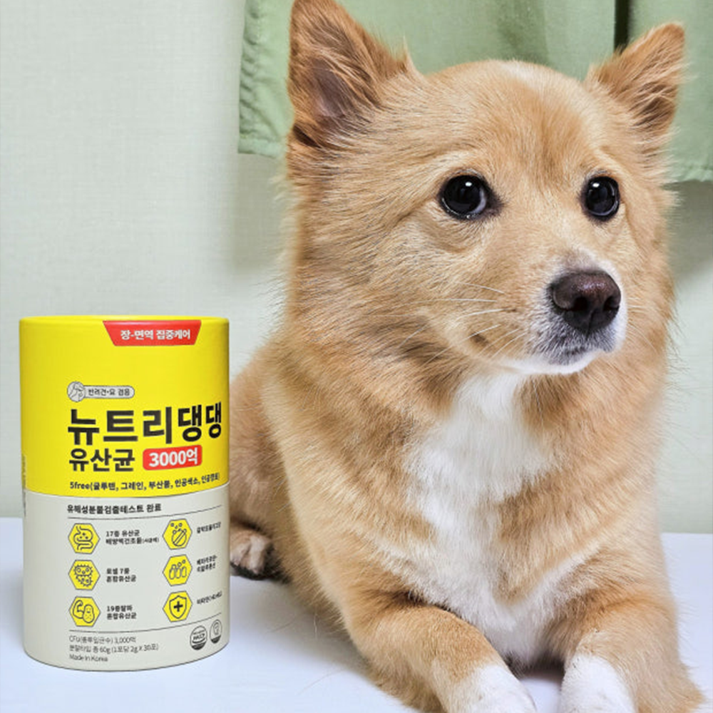 강아지 장 건강을 위한 프로바이오틱스, 이렇게 선택하세요!