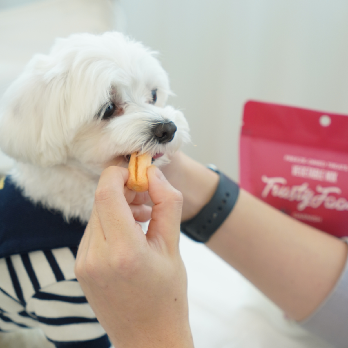 강아지 건강을 위한 저칼로리 채소 간식, 자연스럽게 챙기기!