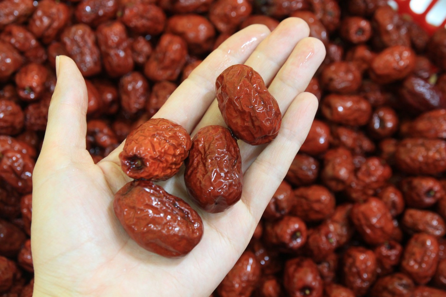 달콤하지 않지만 맛은 가득! 국산 대추로 만든 대추차 수제청 선물 세트