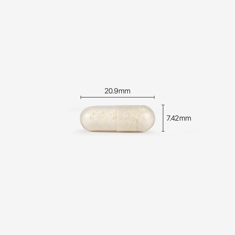 여성 건강을 위한 유산균, 피토틱스 옐로우로 시작해보세요!