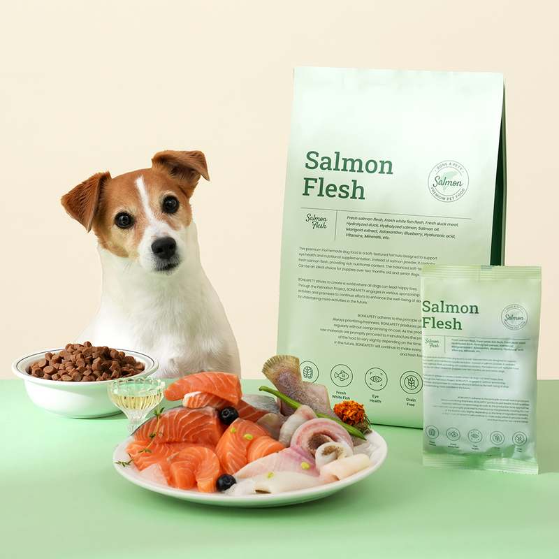 강아지 눈 건강을 위한 수제 사료, 자연스럽게 챙기기 좋은 연어 스팀 저알러지 제품