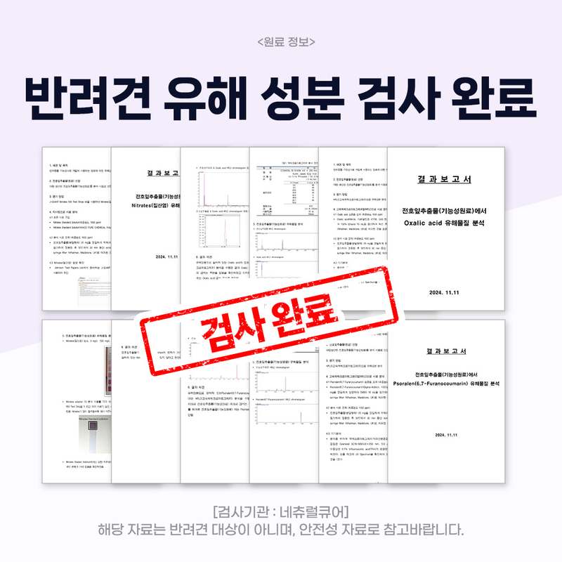 강아지 관절 건강, 이렇게 챙기면 좋아요! 친근한 관절 영양제 추천