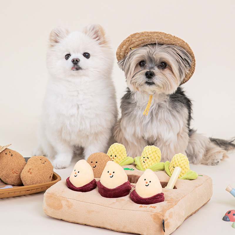 강아지 노즈워크 장난감으로 분리불안 걱정 끝! 쉽게 훈련하는 방법