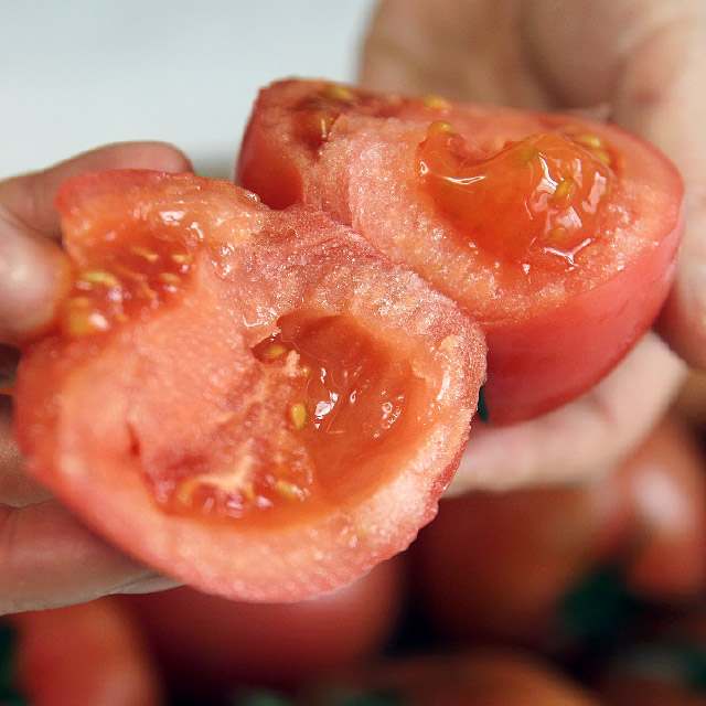 달콤하고 신선한 방울토마토로 건강한 주스 만들어보세요!