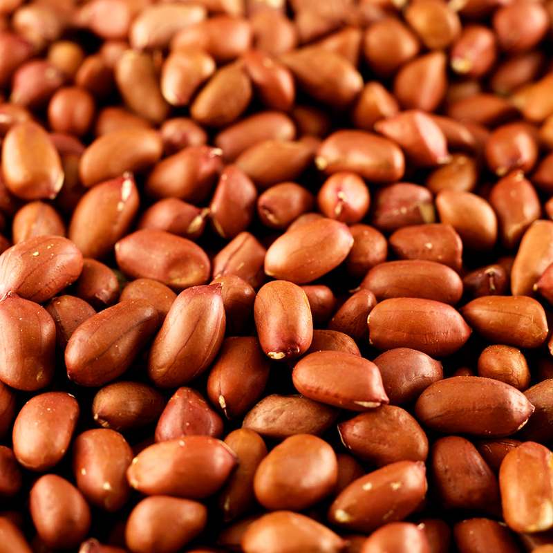 신선한 햇땅콩으로 간단하게 즐기는 고소한 간식