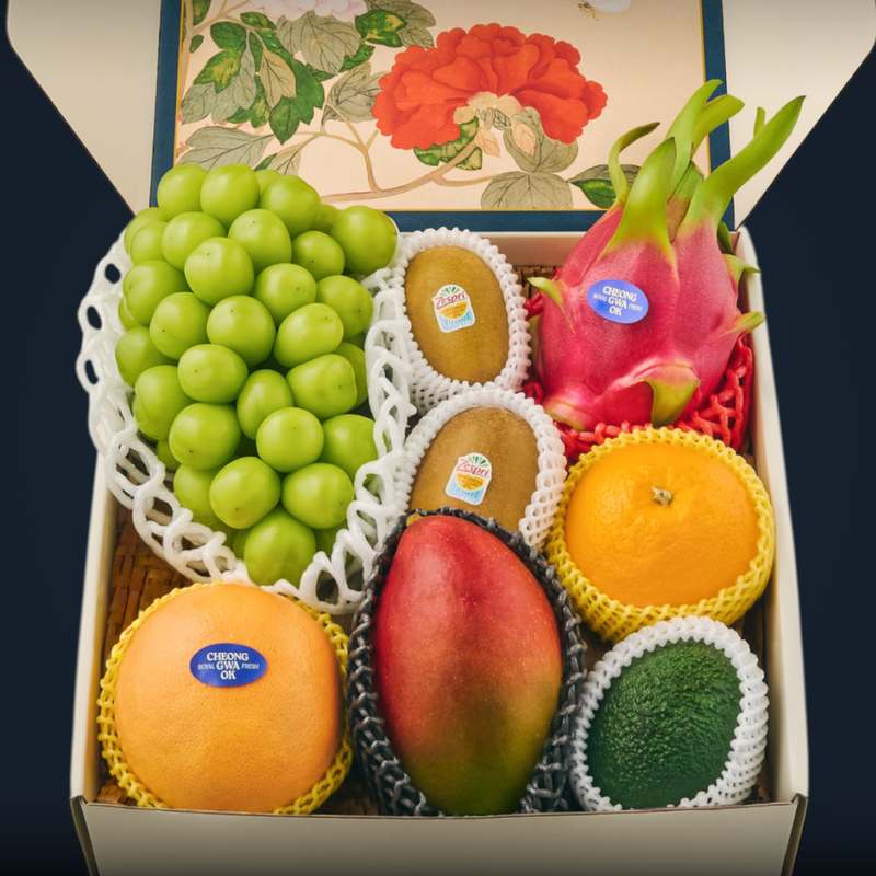 가족과 친지에게 딱 맞는 과일 선물 세트 추천, 특별한 날에 더 빛나요